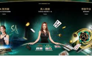 BET365官方网站2024最新版